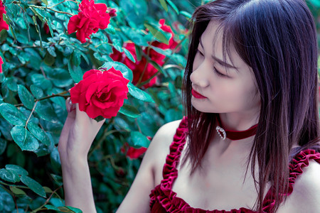 贵州：法治新“枫” 赋能基层治理